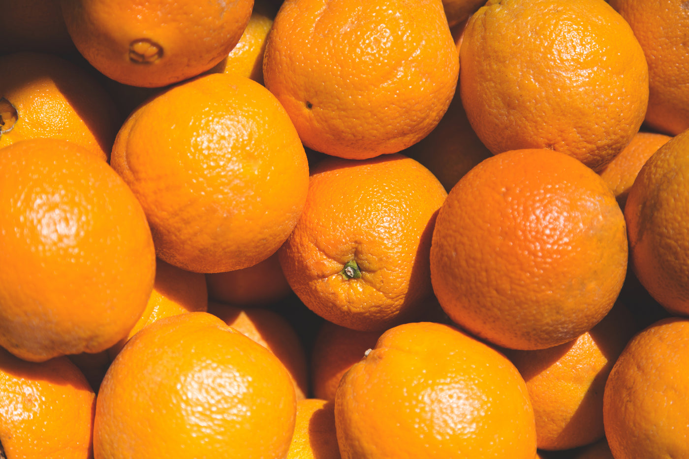 NeoBiotics quality and manufacturing